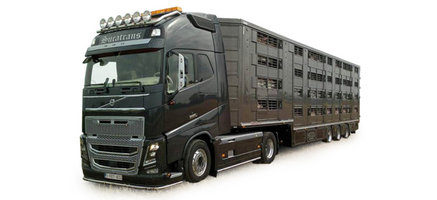 Kamion Volvo FH GL XL cattle carrier semitrailer